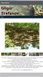 Mobile Screenshot of g-stefanov.com