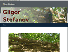 Tablet Screenshot of g-stefanov.com
